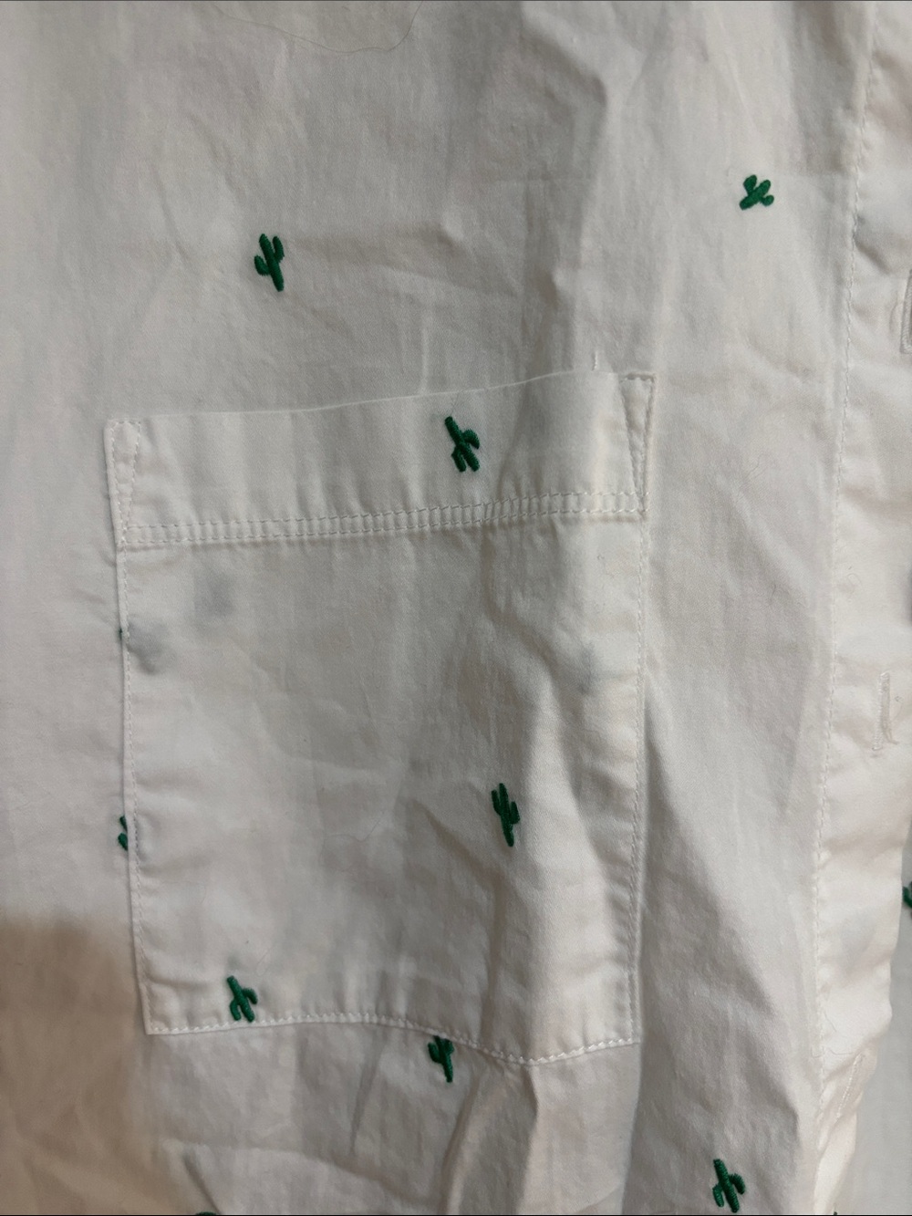 Madewell White Short-Sleeve Button-Down Shirt with Green Cactus Embroidery - Picture 3 of 4